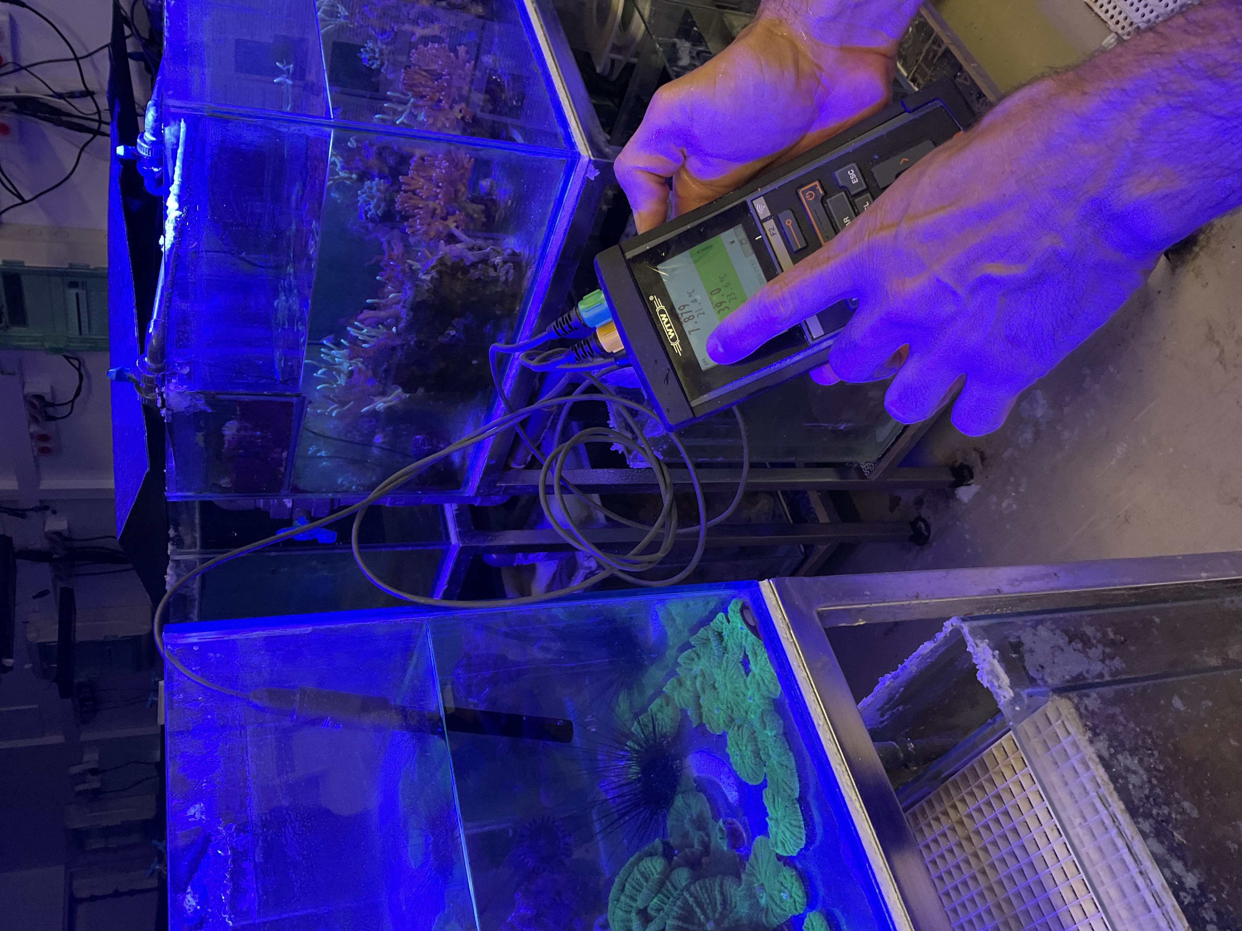 Figure 13: Salinity check with WTW probe